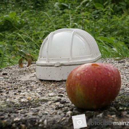 2025 Hombroich &amp; Düsseldorf - Bernd Nootbaar: &quot;Vergessen oder?&quot;